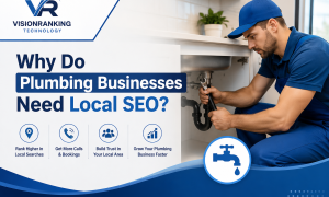 Why Do Plumbing Businesses Need Local SEO